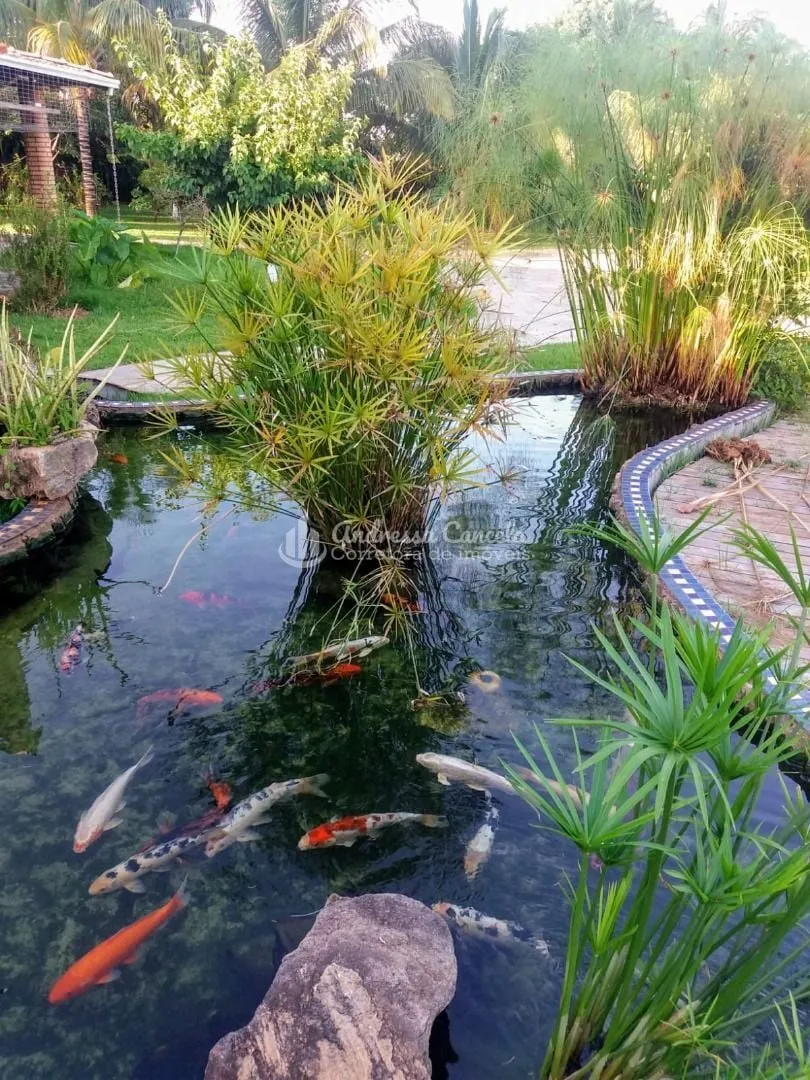 Imagem Chácara com 3 dormitórios à venda, 2400 m² por R$ 2.299.000,00 - Zona Rural - Guapiaçu/SP