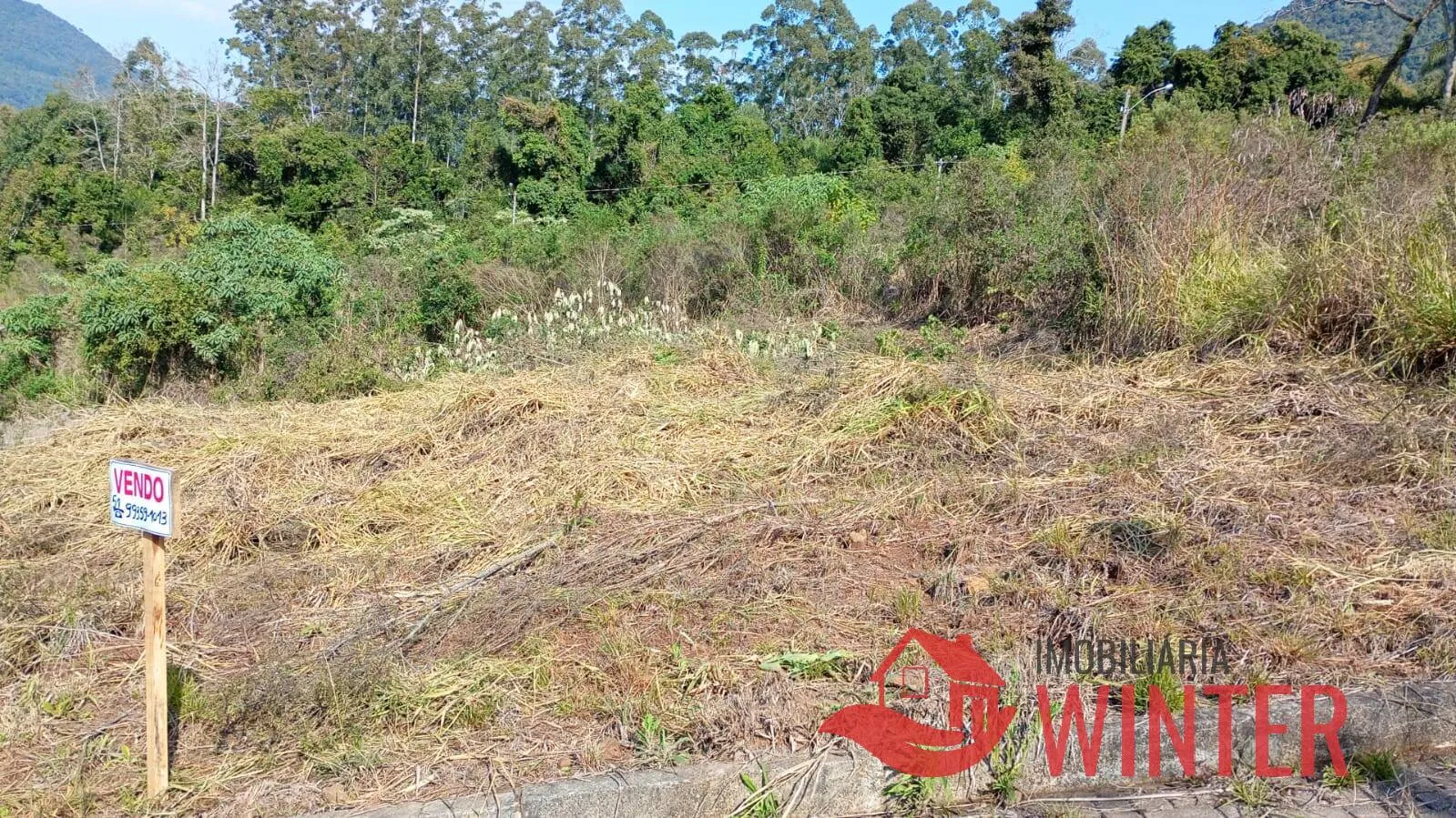 Imagem Terrenos a venda em Arroio do Ouro, Vale Real.