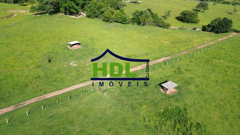 Imagem Fazenda de 1ª com 155 Hectares prox. à Goiânia.