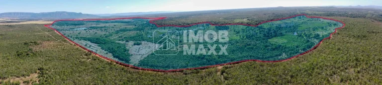 Imagem Fazenda a venda em Formosa: 281 hectares, água perene, dupla aptidão - escriturada e registrada.