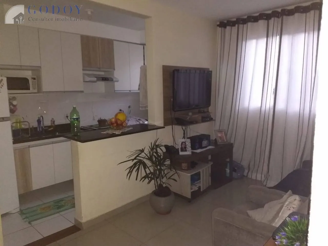 Imagem Apartamento à venda 1 Vaga, Vila Mariana, Aparecida - SP | Vila Mariana