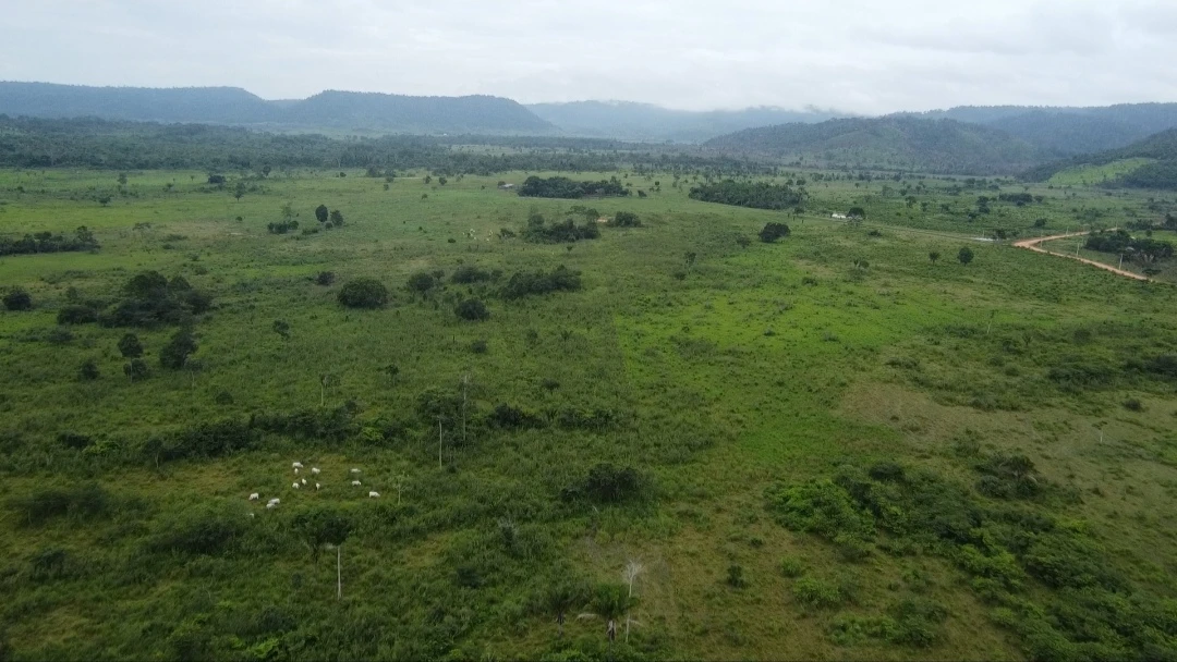 Imagem Fazenda à Venda, 90024 Alq. GO em São Félix do Xingu - São Félix do Xingu