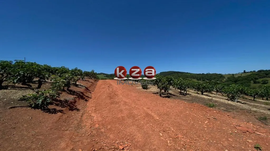 Imagem Sítio de luxo no Centro de Morungaba-SP: 4 quartos, 2 salas, 2 banheiros, 10 vagas, 56.785m²