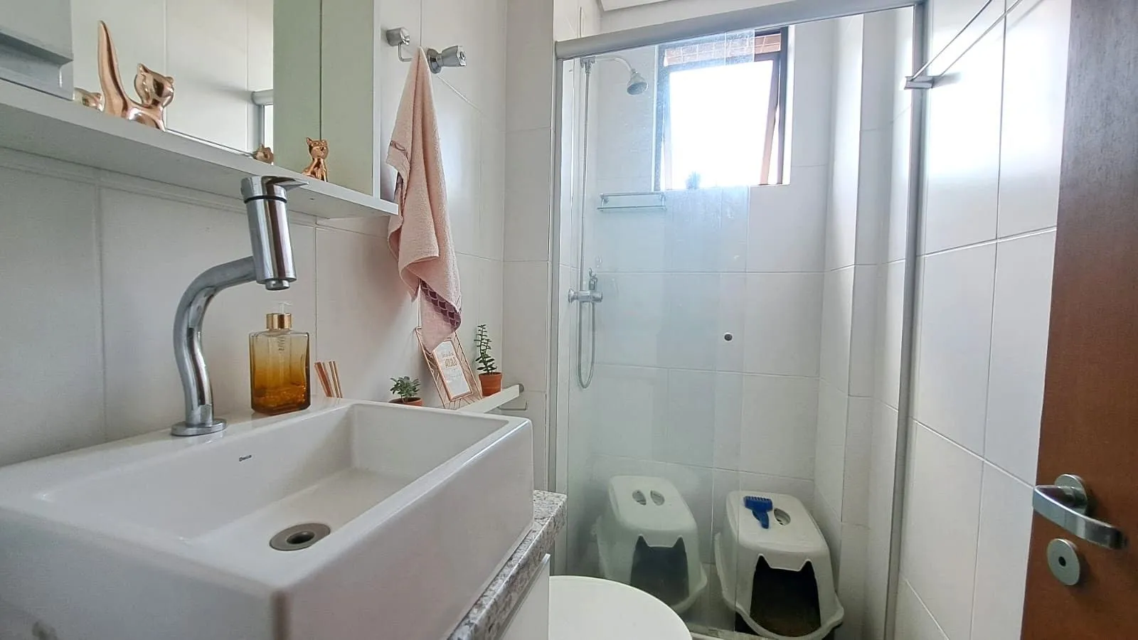 Imagem Apartamento em Cristo Redentor