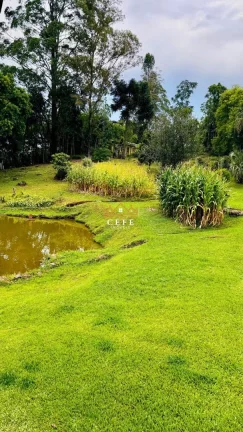 Imagem Chácara - Sítio com 2 Dormitorio(s) localizado(a) no bairro Padre Eterno Ilges em Santa Maria do Herval / RIO GRANDE DO SUL Ref.:1607