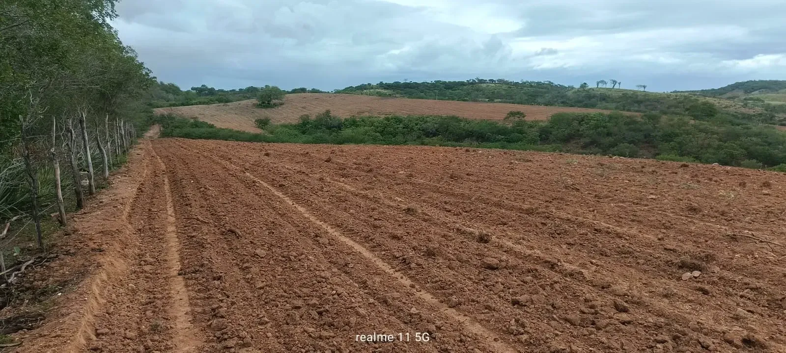 Imagem Lote/Terreno no bairro zona rural, em Sítio do Quinto