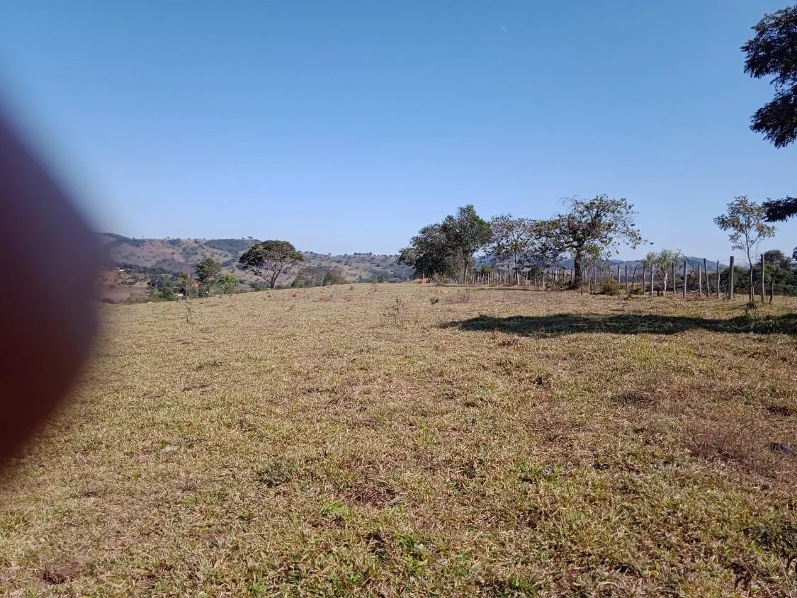 Imagem Vendo Excelente Fazenda em Bonfim/MG 90 hectares de terra