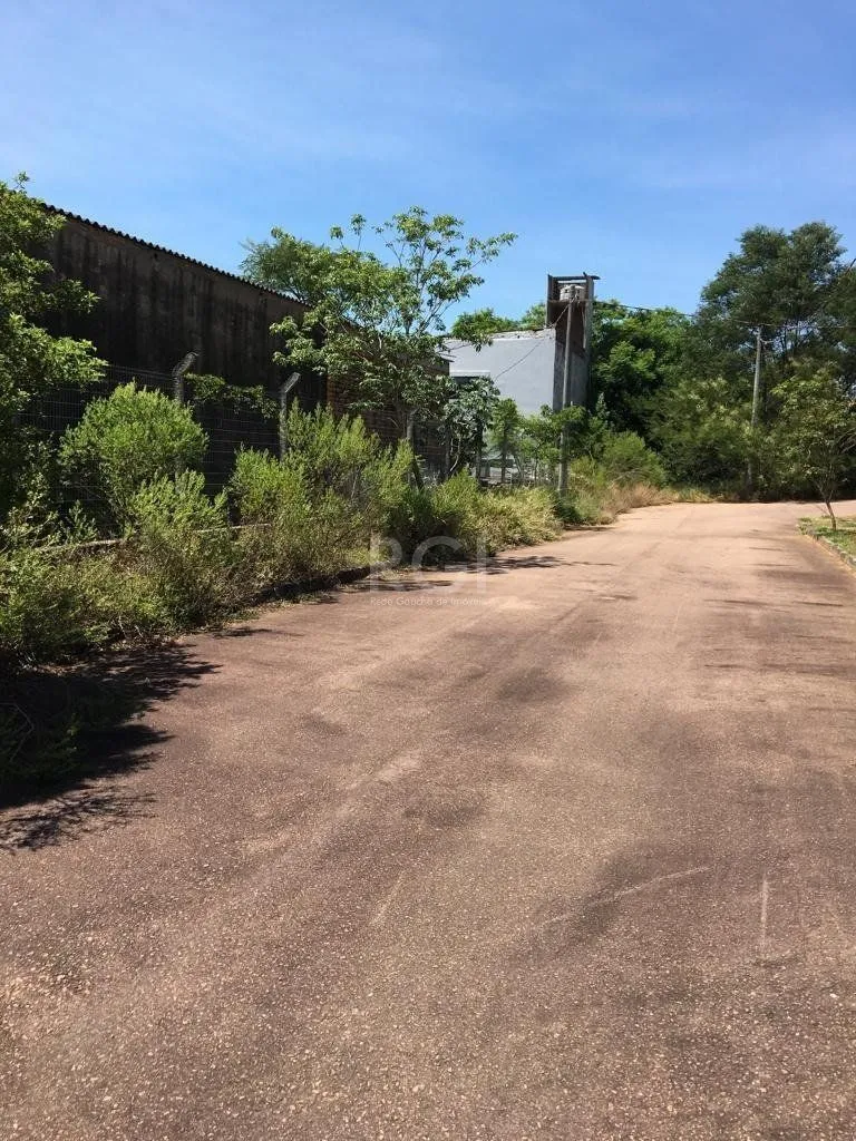 Imagem Terreno em Vila Nova