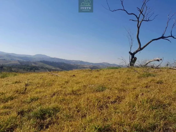 Imagem Terreno imperdível no Bairro do Livramento em Socorro-SP
