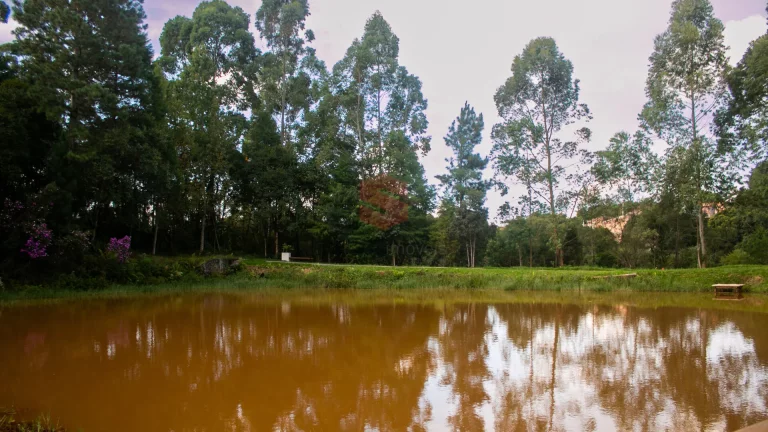 Imagem Terreno em Condomínio - Reserva Floresta do Lago