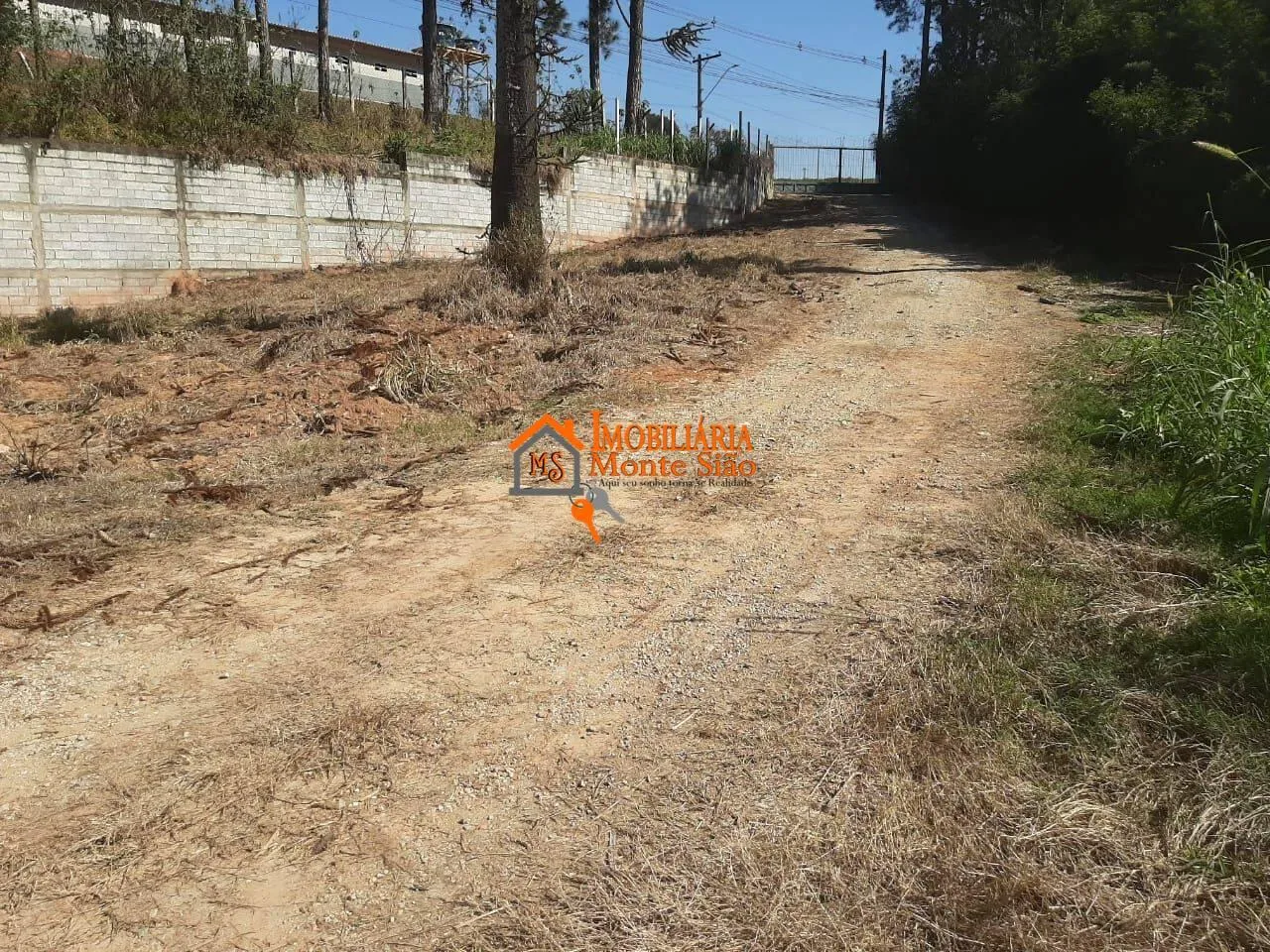 Foto do imóvel Terreno à venda, 5000 m² por R$ 3.750.000,00 - Pimentas - Guarulhos/SP