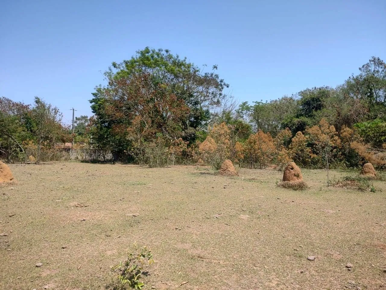 Imagem Chácara à venda, Goiabal, Pindamonhangaba, SP
