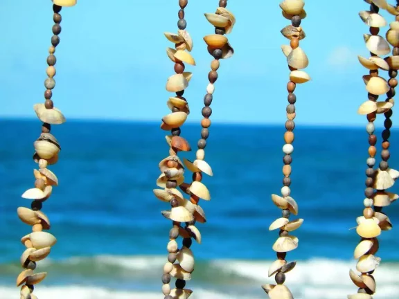 Imagem Ponta da Baleia