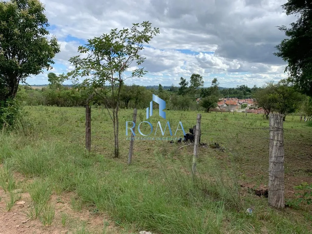 Imagem Campo à venda Tomazetti Santa Maria/RS