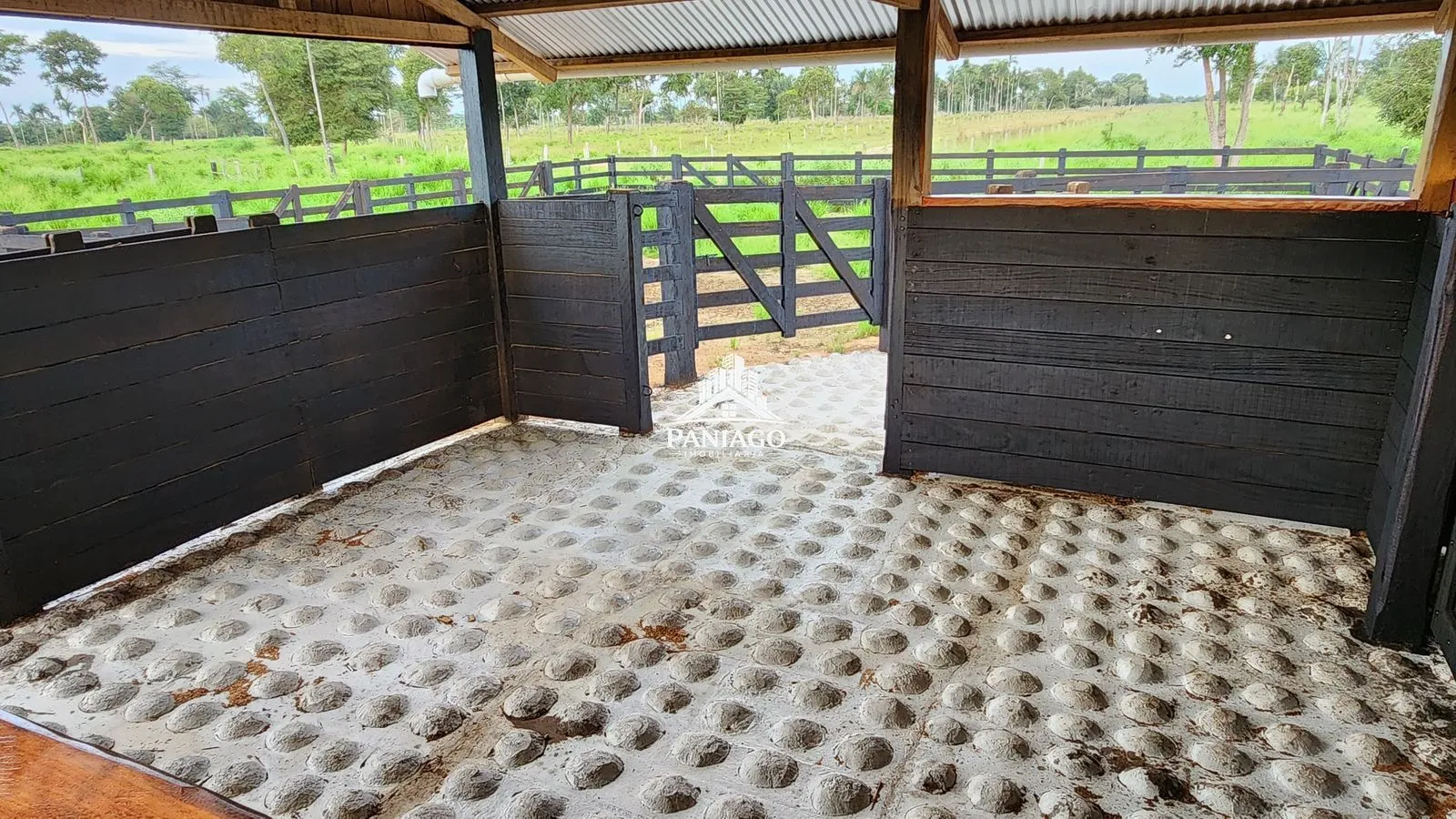 Imagem Fazenda 1550ha