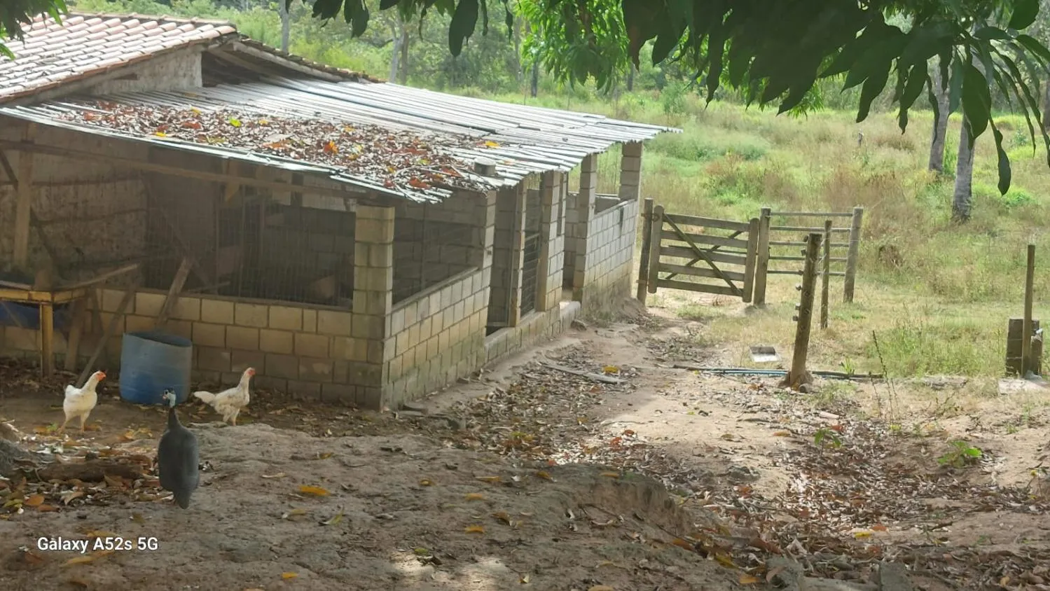 Imagem Vende-se um lindíssimo sítio localizado em Esmeraldas, MG . com 6 hectares (60.000 m²)