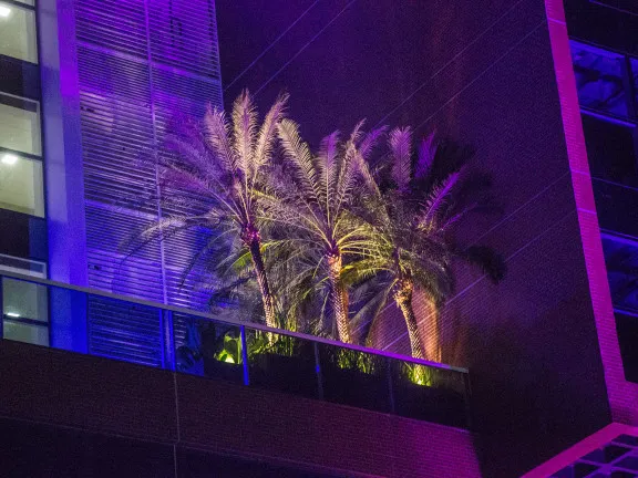 Sala Comercial para Alugar, 35 m² em Parque Verde - Belém