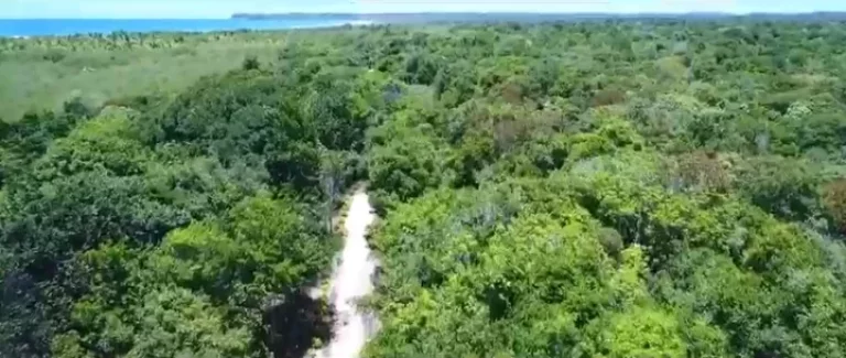 Imagem Fazenda Prazeres Piracanga