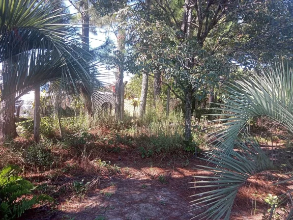 Imagem Sitio com 2.056m², em condomínio fechado, arborizado, Águas Clara, Viamão