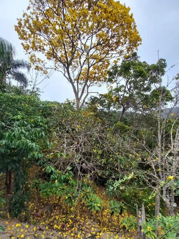 Imagem Sítio para Venda em Petrópolis / RJ no bairro Posse
