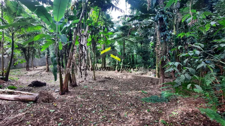 Imagem Oportunidade !!! Terreno em condomínio Itamambuca Ubatuba -SP