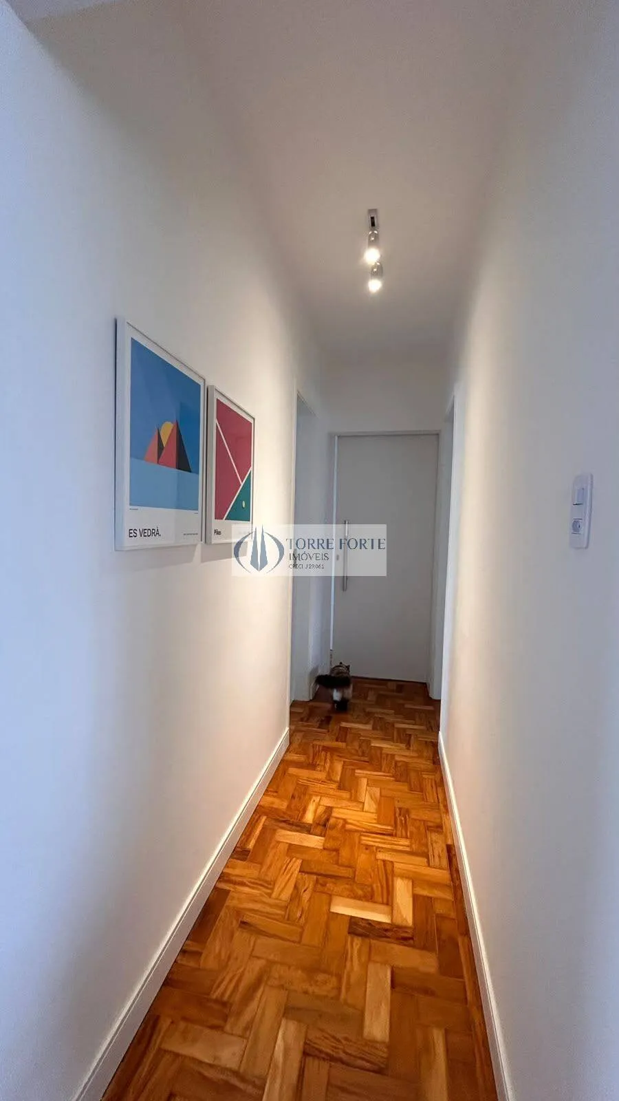 Imagem Lindo Apartamento com 3 dormitorios 1 suite 1 vaga na Mooca