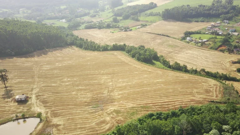 Imagem Área Agrícola para Venda em Concórdia, Tamanduá