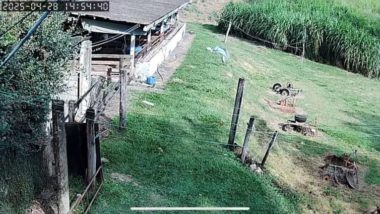 Imagem Chácara para Venda em São Pedro, --------------, 1 dormitório, 1 banheiro, 10 vagas