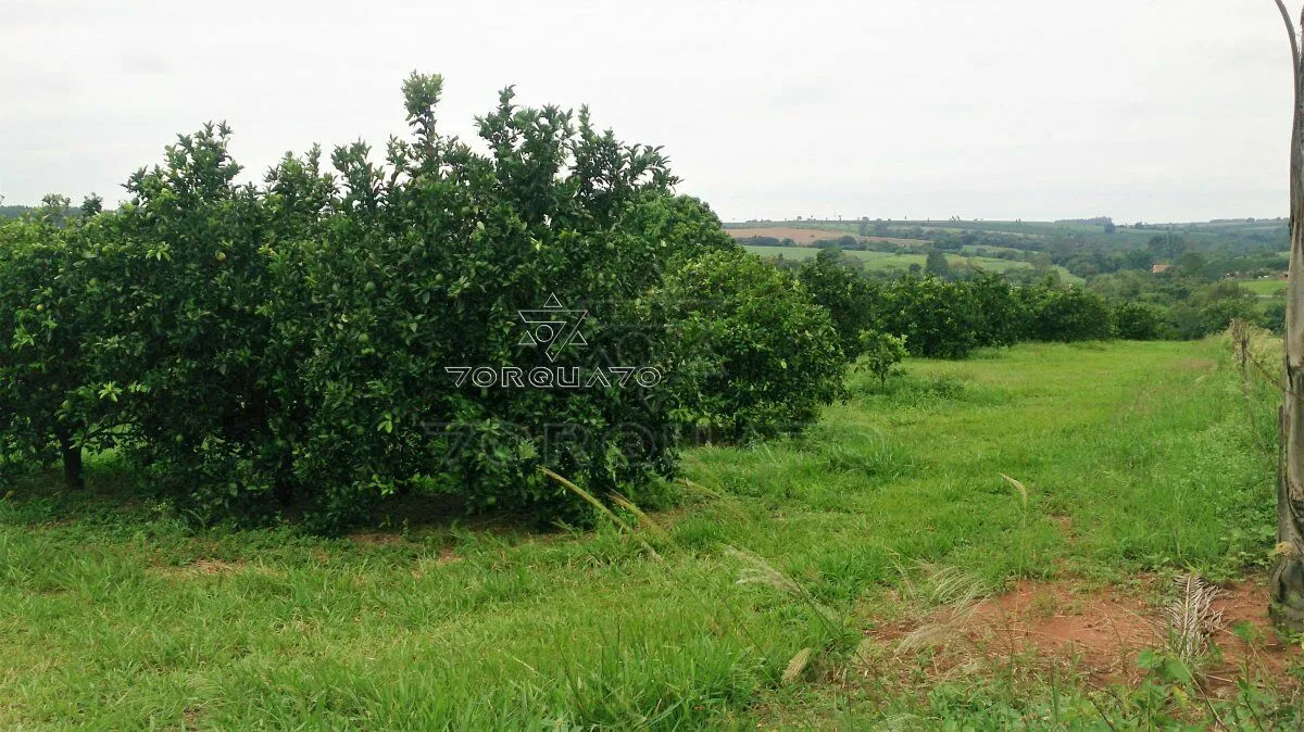 Imagem Seu Sonho Rural em Conchal: Propriedade de 72.600 m² com Infraestrutura Completa!