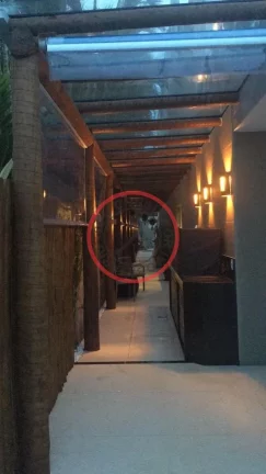 Imagem Casa em Juquehy, alto Padrão, Pé na Areia , para locação no Réveillon e Temporda 22/23