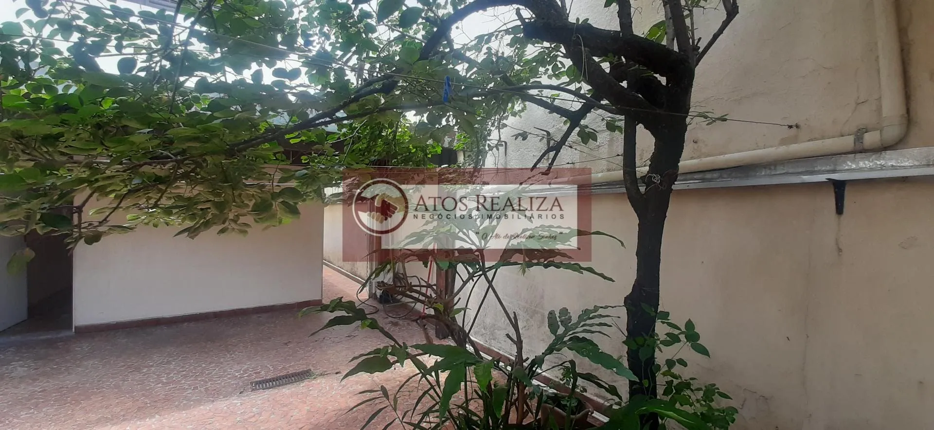 Imagem Sobrado com Edícula à Venda na Vila Santa Catarina, SP - 3 Dorms