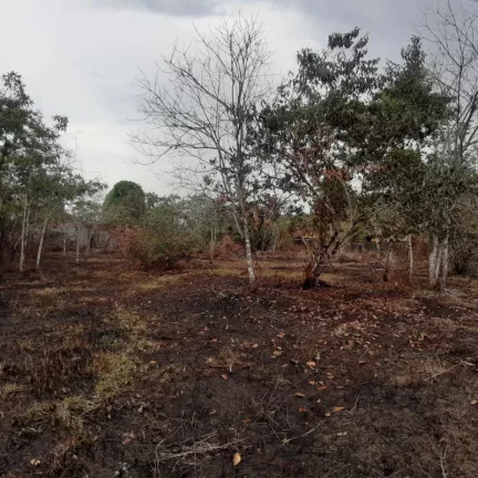 Imagem TERRENO RURAL em Manaus Am - AM, Portal do Caribe