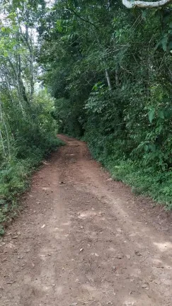 Imagem Chácara com 3 Quartos à Venda, 23.200 m² em Rio Lourenço Velho  - Delfim Moreira