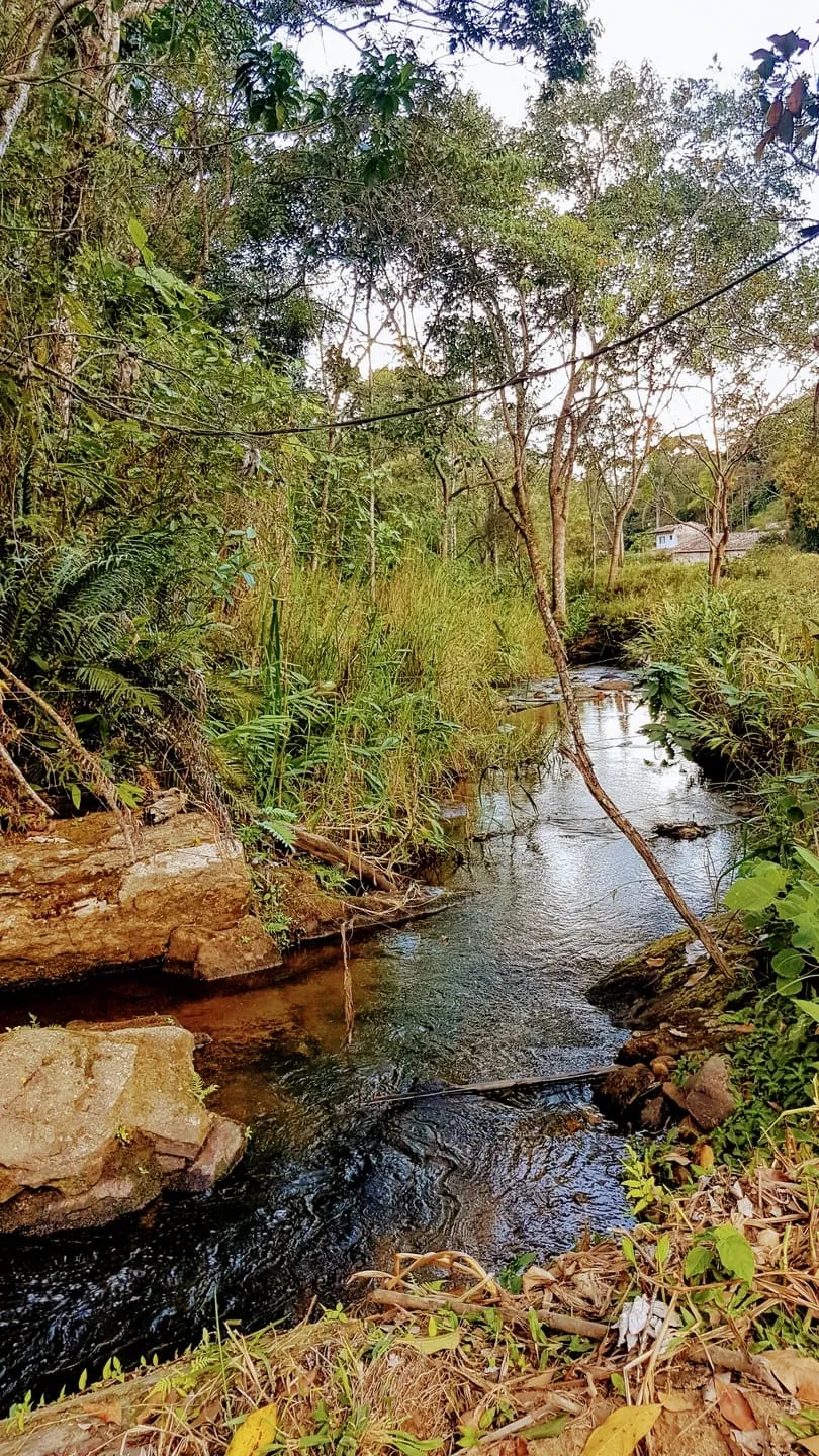 Imagem Chácara à venda 1 Quarto, 110000.25M², Água Preta, Pindamonhangaba - SP