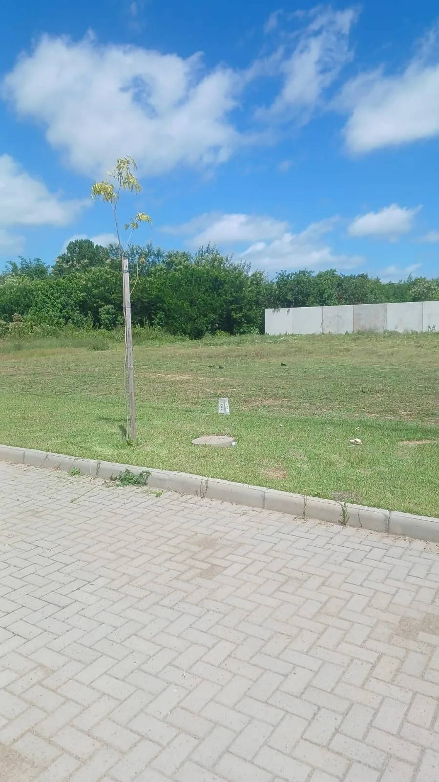 Imagem Terreno com 863,79 no loteamento Arbo Village Park em Santa Maria.
