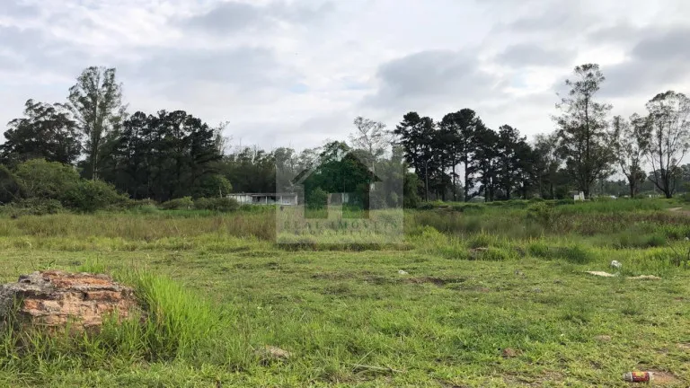 Imagem Terreno à Venda, 49.840 m² em Jardim Izildinha - Guarulhos