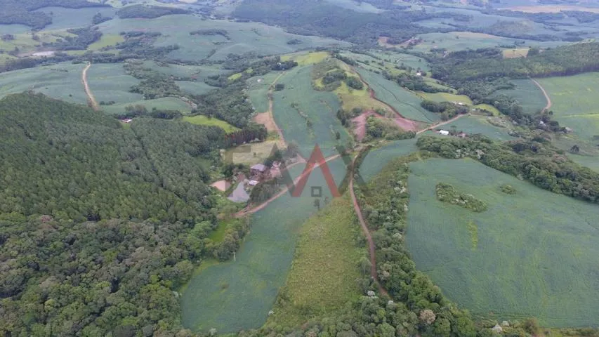 Imagem Excelente área para agricultura com 68132.00m , Linha São Paulo, RENASCENCA - PR
