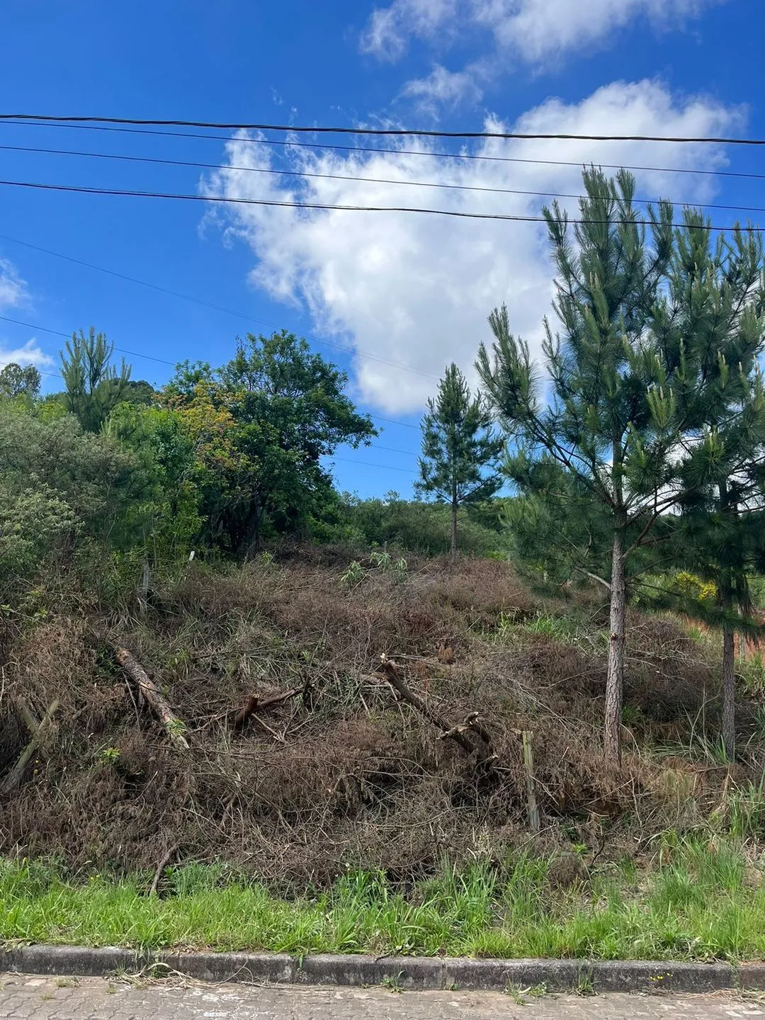 Imagem Terreno à venda em Caxias do Sul, Nossa Senhora da Saúde