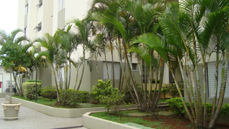 Imagem Apartamento com 2 Quartos à Venda, 50 m² em Vila Carmosina - São Paulo