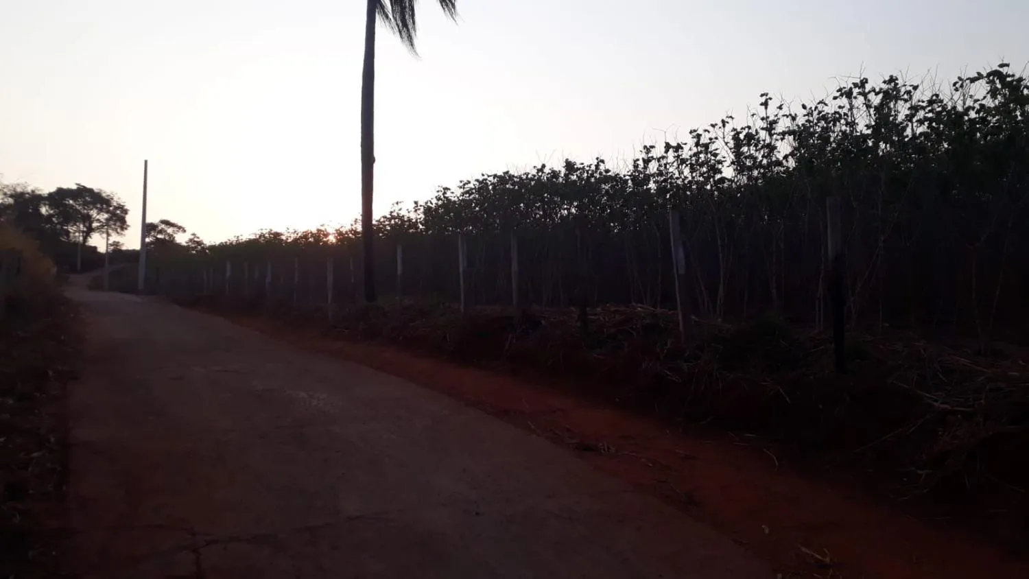 Imagem CHÁCARAS À VENDA EM CRUCILÂNDIA - MG com 10.000 m², toda plana