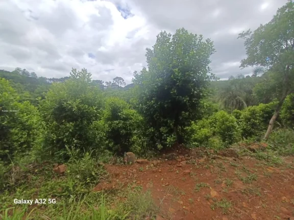 Imagem Terreno para Venda em Concórdia, Santo Antônio