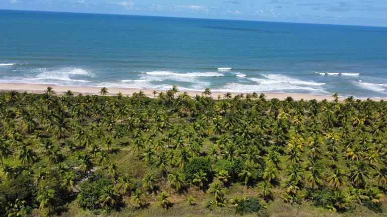 Foto do imóvel MÓDULOS RURAIS MATA ATLÂNTICA