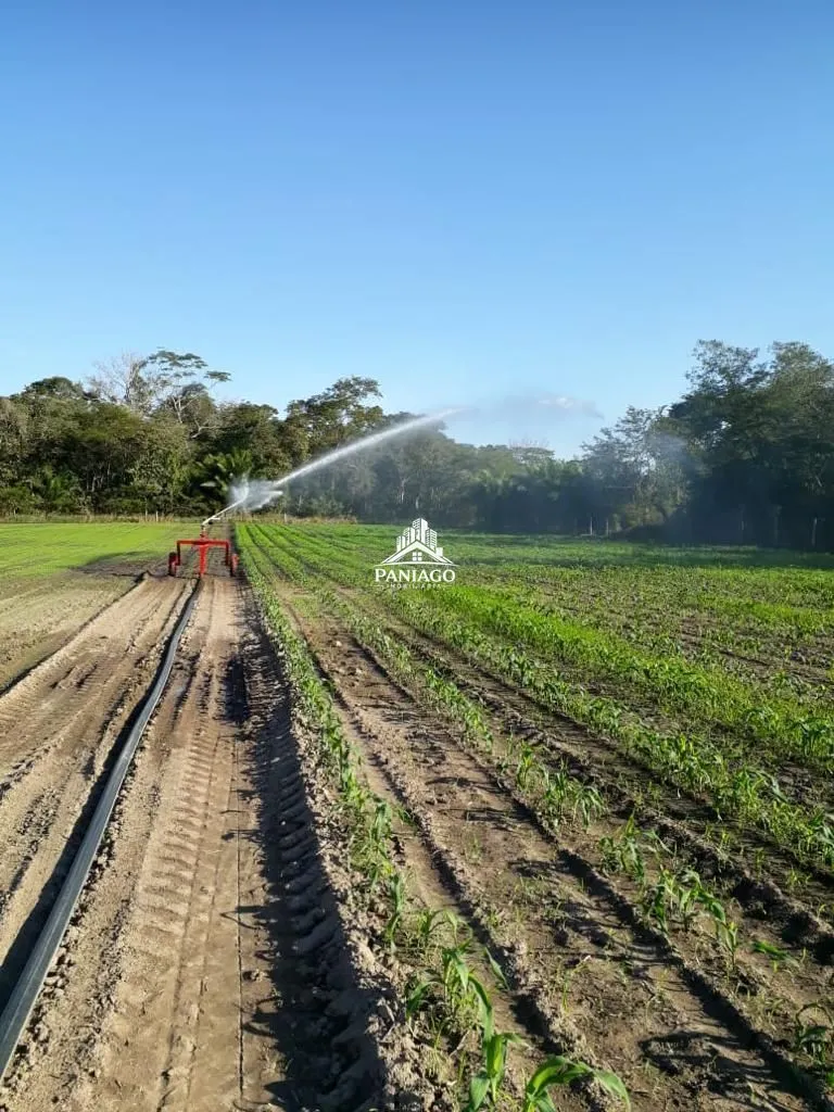 Foto do imóvel Sítio de 10,63 Hectares à Venda em Leverger/MT | Estrutura para Pecuária