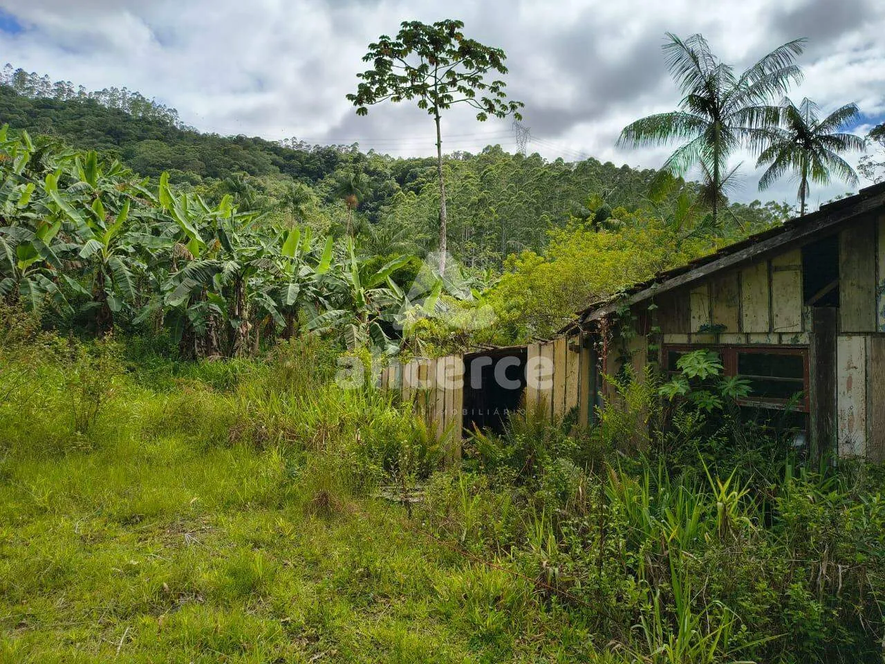 Imagem Sítio à venda com , 260.084m² em Área Rural de Biguaçu Biguaçu