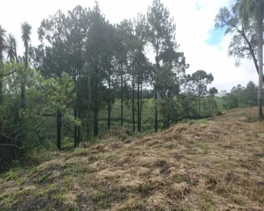 Imagem TERRENO À VENDA, 12750 M POR R$ 4.500.000,00 - POTUVERÁ - ITAPECERICA DA SERRA/SP