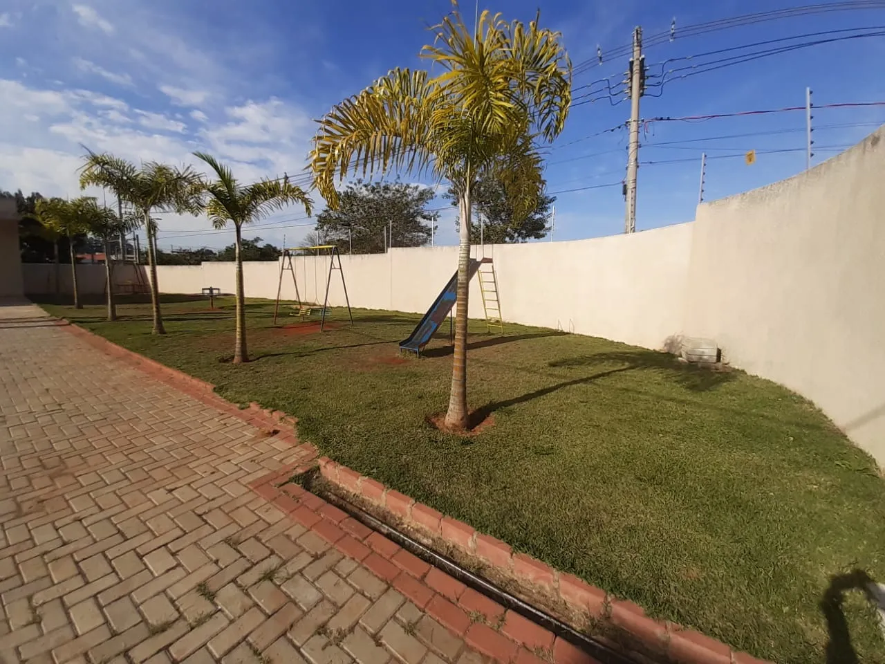 Imagem Está em busca de um novo lar para chamar de seu?