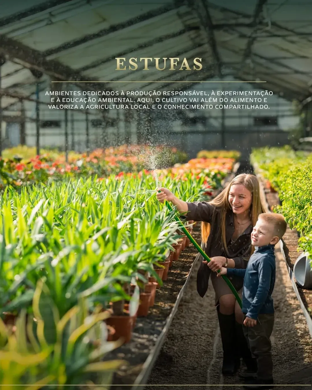Imagem Terreno à Venda, 240 metros em bairro Papucaia - Cachoeiras de Macacu
