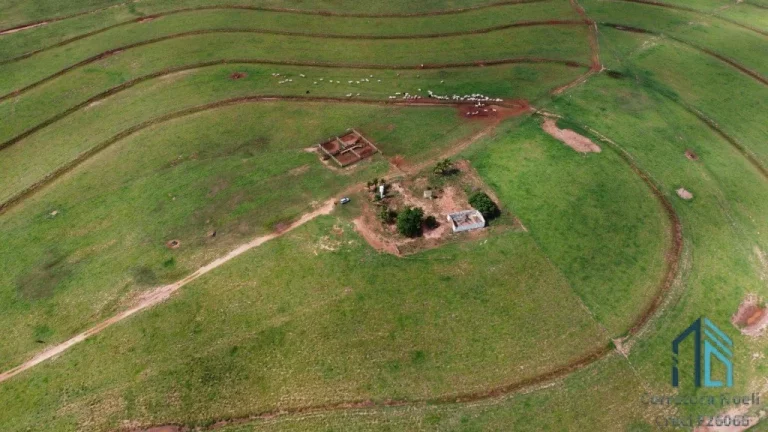 Imagem Fazenda, excelente área rural 87.5 alqueires em Ivaté, próximo a Umuarama no Parana Pr