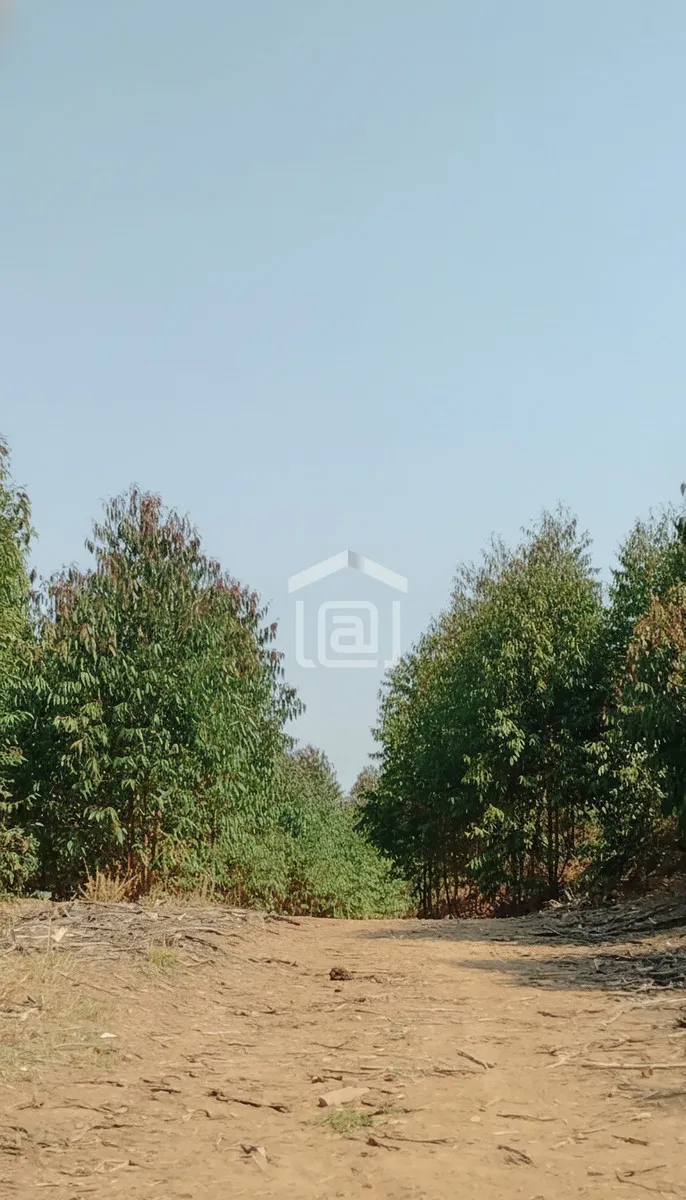 Imagem Sítio 24 m² à venda em Pocinhos do Rio Verde, Caldas