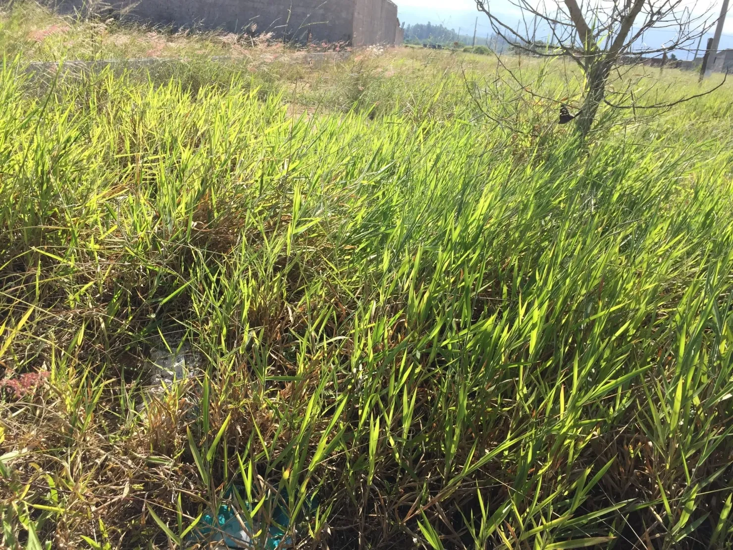Imagem Terreno à venda 225.08M², Moreira César, Pindamonhangaba - SP